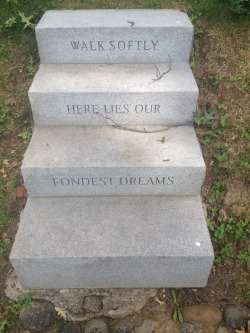 raininjvly:  saw this yesterday at the graveyard