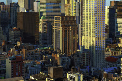 morethanphotography:  sunset on Manhattan by annab 