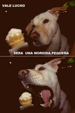MINIGAG