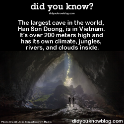 did-you-kno:  SourceAnother weirdly amazing piece of nature: