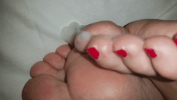 footnerd:  Cum on my wife’s toes 