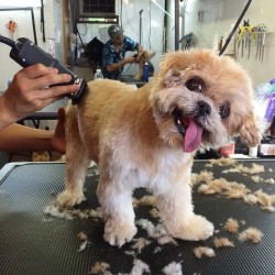 marniethedog:  Nail done, hair done, everything did 