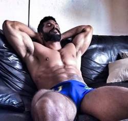 Would love to sit on his lap right now - WOOF