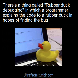 lifeofdavo:  kierenwalkerpds:  monobeartheater:  absorr:  ultrafacts:  Source For more posts like this, CLICK HERE to follow Ultrafacts    Some of you are reblogging because you think its funny that programmers would talk to ducks. I’m reblogging because