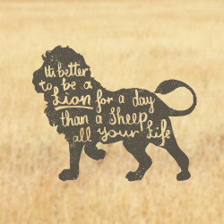 honestarrogance:  That’s for sure. 