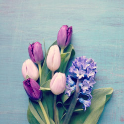 sa7ira:  floralls:   by  O. Joy …Following my bliss   