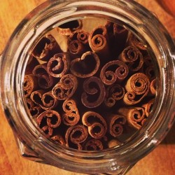 littleowlarts:  #beautifulfood #cinnamon #cassia #apothecary