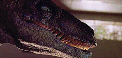 jurassicdaily:  Velociraptors in every movie: Jurassic Park The