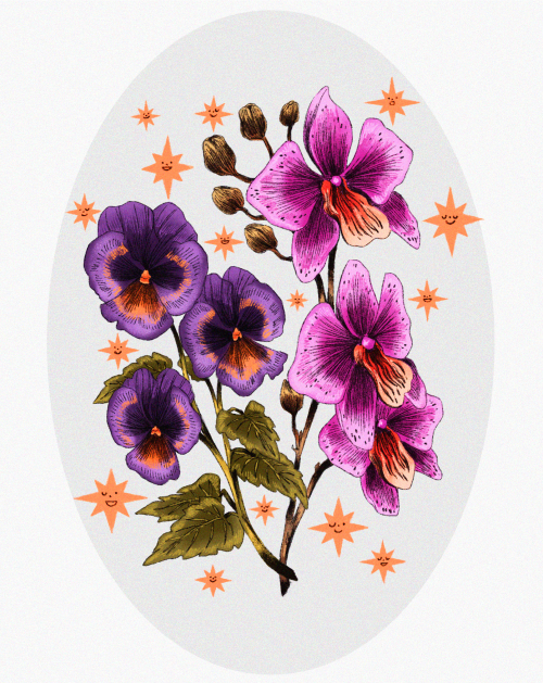 prinsomnia:  ✹ pansies, orchids, and friends ✹ buying me