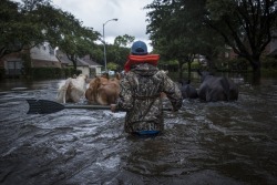 southernsideofme:  Texans being Texans