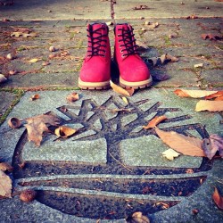 timberland:  Tuesday Shoesday: Ruby Red 