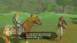 mistysoulreave:so I found this Gerudo far up north who loves