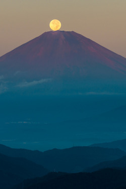 tulipnight:  Harvest Moon on Fuji by shinichiro* on Flickr.