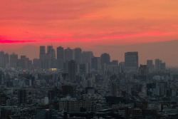 sickpage:  Shinichiro SakaShinjuku twilight, 2013 