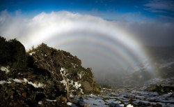 gravitationalbeauty:  A Hall of Mountain Fogbows  