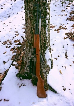 sevensixtwobythirtyninemm:  SKS innawoods. 