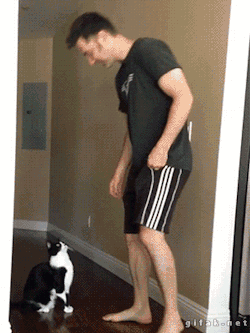 the-absolute-best-posts: “Lift me, human!”