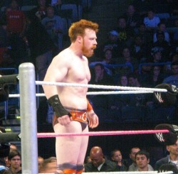 omgsheamus:  Sheamus looking good at a house show