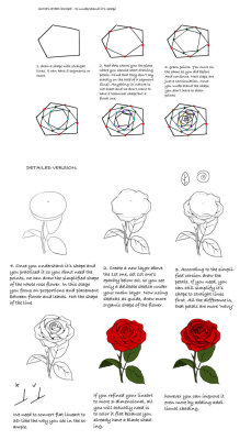 drawingden:  Rose tutorial by Precia-T  