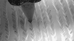 fencehopping:  Electron microscope video of a needle on a vinyl