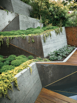 vikingpavers:    Japanese Inspired landscape design In Berkeley.