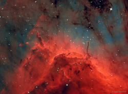into-theuniverse:Pelican Nebula (IC 5067 and 5070)