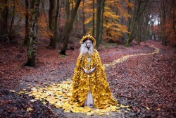  The Ghost Swift and The Journey Home (by Kirsty Mitchell) 