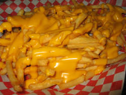 fatty-food:  Cheese Fries (by Ray Conrado)  Ugh, YES