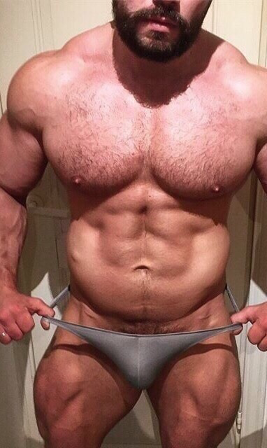 muscle53: