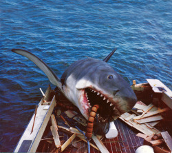  Behind the scenes of Jaws (1975) From the book JAWS: Memories