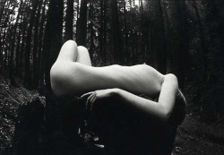 fragrantblossoms:  James Fee - Female Nude in Forest