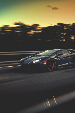 motivationsforlife:  Aventador Miami by Marcel Lech \ MFL 