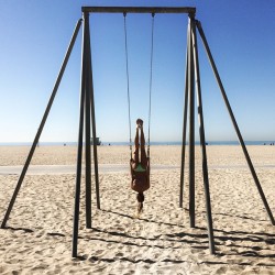 thesuncameouttoplay:  Muscle beach and some up-side down fun!