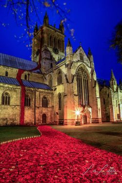 travelbinge:  The beautiful abbey in my hometown of Selby decorated