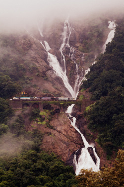 travelthisworld:  Dudhsagar Waterfall Mandovi River, Goa, India