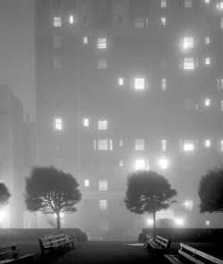 joeinct:Foggy Night,  Huntington Hotel, San Francisco, Photo