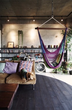 veloisto:  home.