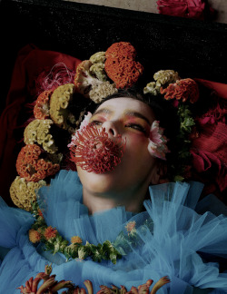 darkodrum:   Björk photographed by Jesse Kanda 