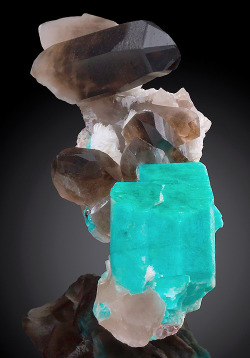 hematitehearts:    Amazonite with Cleavelandite and Smoky Quartz