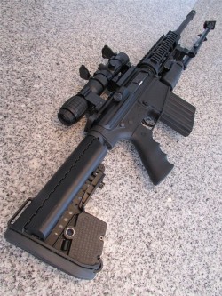 gunrunnerhell:  DPMS LR-308 A more budget friendly AR-10 when