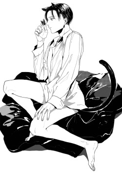 margrell:  ねこリヴァイ 