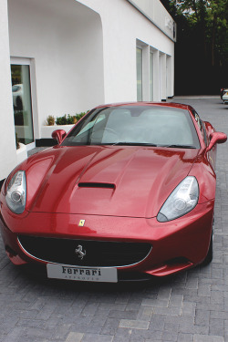 italian-luxury:  Ferrari California