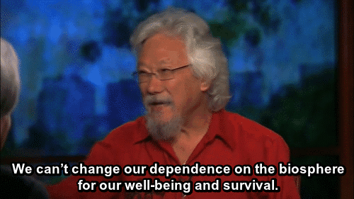  universalequalityisinevitable: David Suzuki in this interview about facing the reality of climate change and other environmental issues from Moyers & Company. 