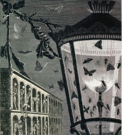 hideback:  Max Ernst (German, 1891-1976) And the Moths Began