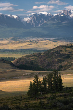 radivs:  Severo-Chuyskij Ridge by Dmitry Antipov