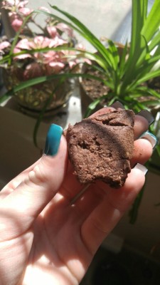 dariamorgandabber:  Auntie gave me homemade medicated fudge,