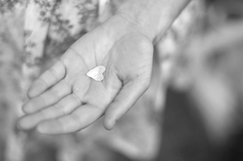 Se non sei il primo pensiero di qualcuno, Non sarai nemmeno l'ultimo! Tieni ben stretti i tuoi sentimenti Per colui che… silenziosamente farÃ  di te Il suo UNICO pensiero!