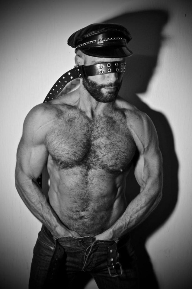 javipalmerwalkswithme:📸Krys Fox