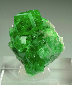 bijoux-et-mineraux:Tsavorite -  Merelani Mine, Arusha, Tanzania