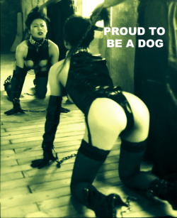 Dog play. Bondage and fetish images @  Art of Bondage